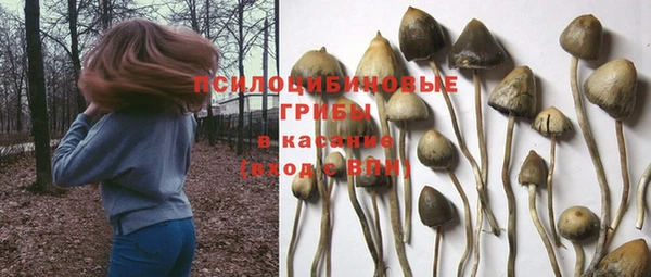 герыч Абаза