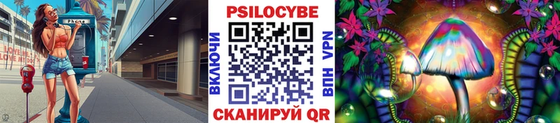 блэк спрут ССЫЛКА  Орск  Псилоцибиновые грибы GOLDEN TEACHER 